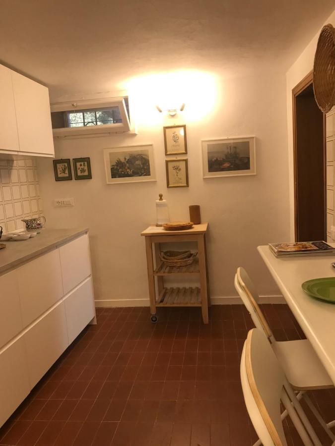 Campo Al Cerro Apartment Bolgheri Exterior foto