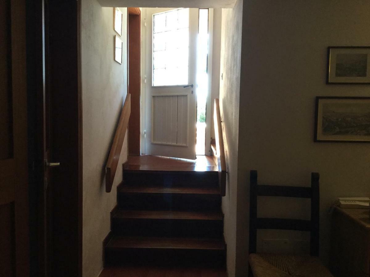 Campo Al Cerro Apartment Bolgheri Exterior foto