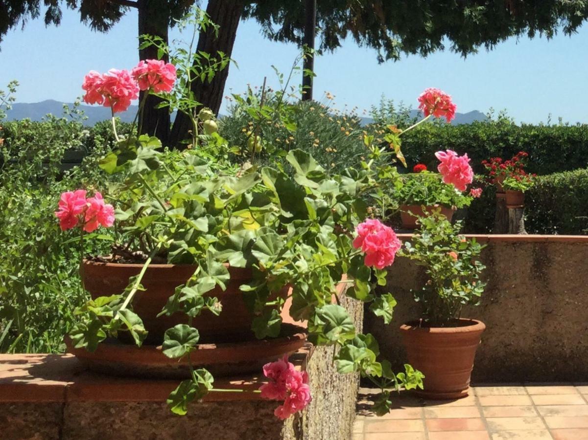 Campo Al Cerro Apartment Bolgheri Exterior foto